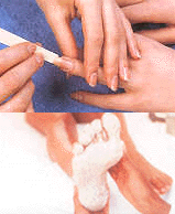 {short description of image}